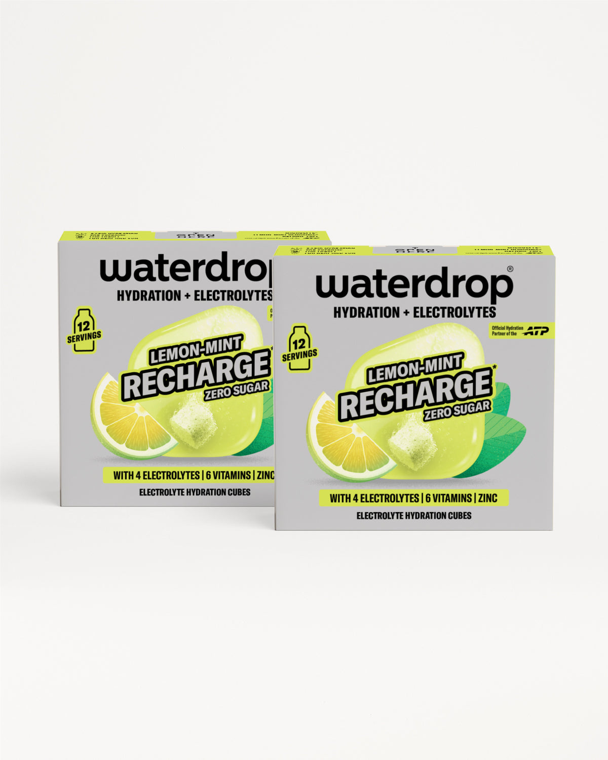 Microlyte RECHARGE Twin Pack