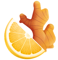 Ilustracja korzenia imbiru z plasterkiem pomarańczy.