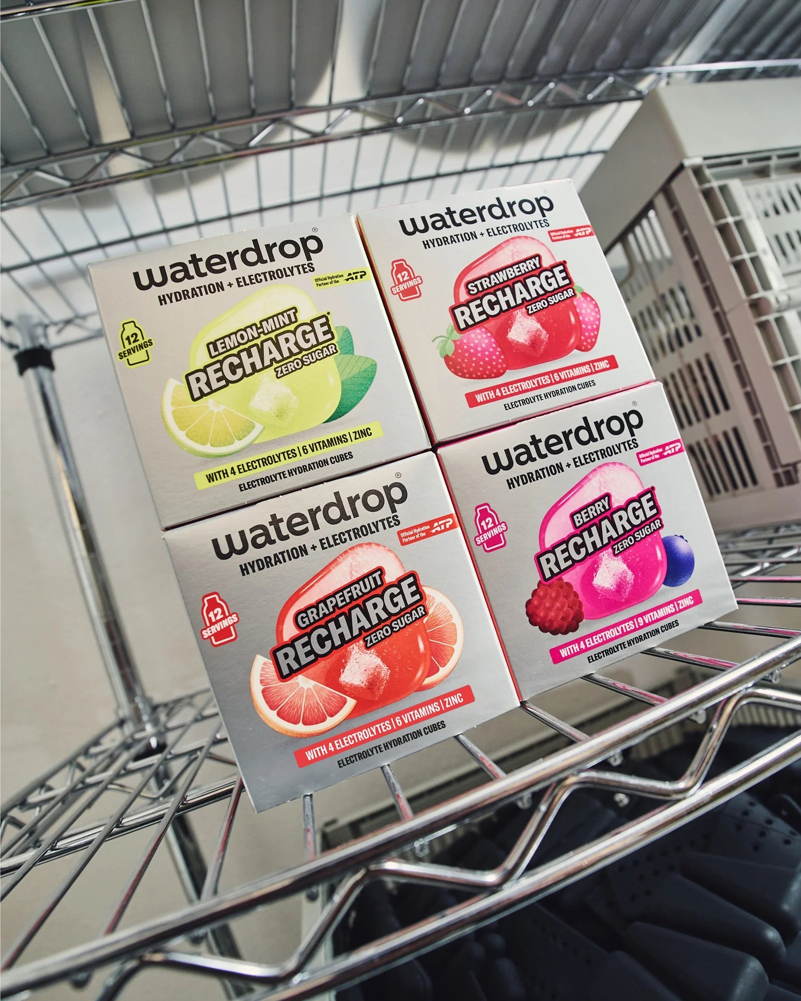 Zestaw Microlyte RECHARGE