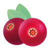CRANBERRY ACEROLA IMMUNITY